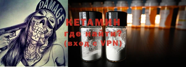 сатива Инта