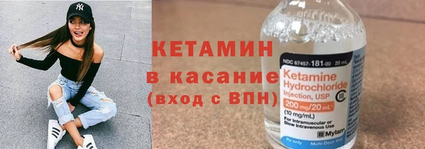 сатива Инта