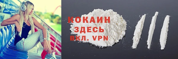 сатива Инта
