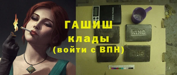 сатива Инта