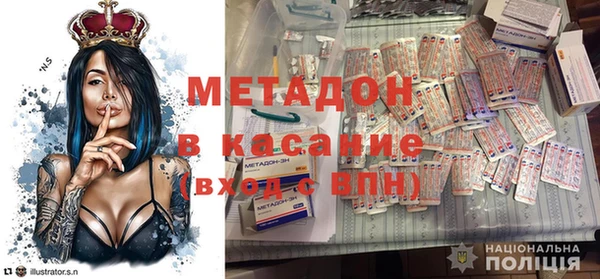 сатива Инта