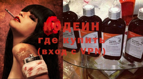 сатива Инта