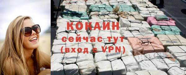 сатива Инта