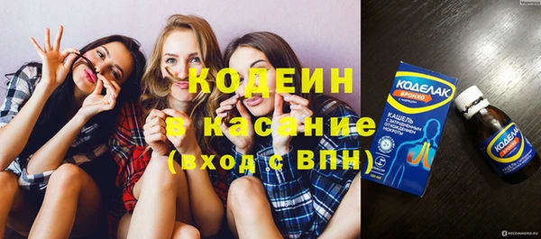 сатива Инта