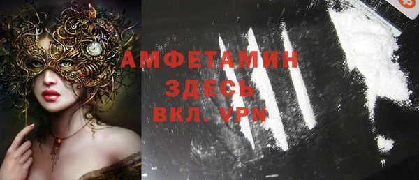 сатива Инта