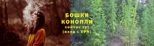 сатива Инта