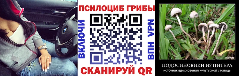Купить  Инза  Галлюциногенные грибы мухоморы 